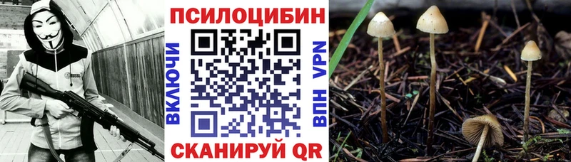 Галлюциногенные грибы MAGIC MUSHROOMS Артём